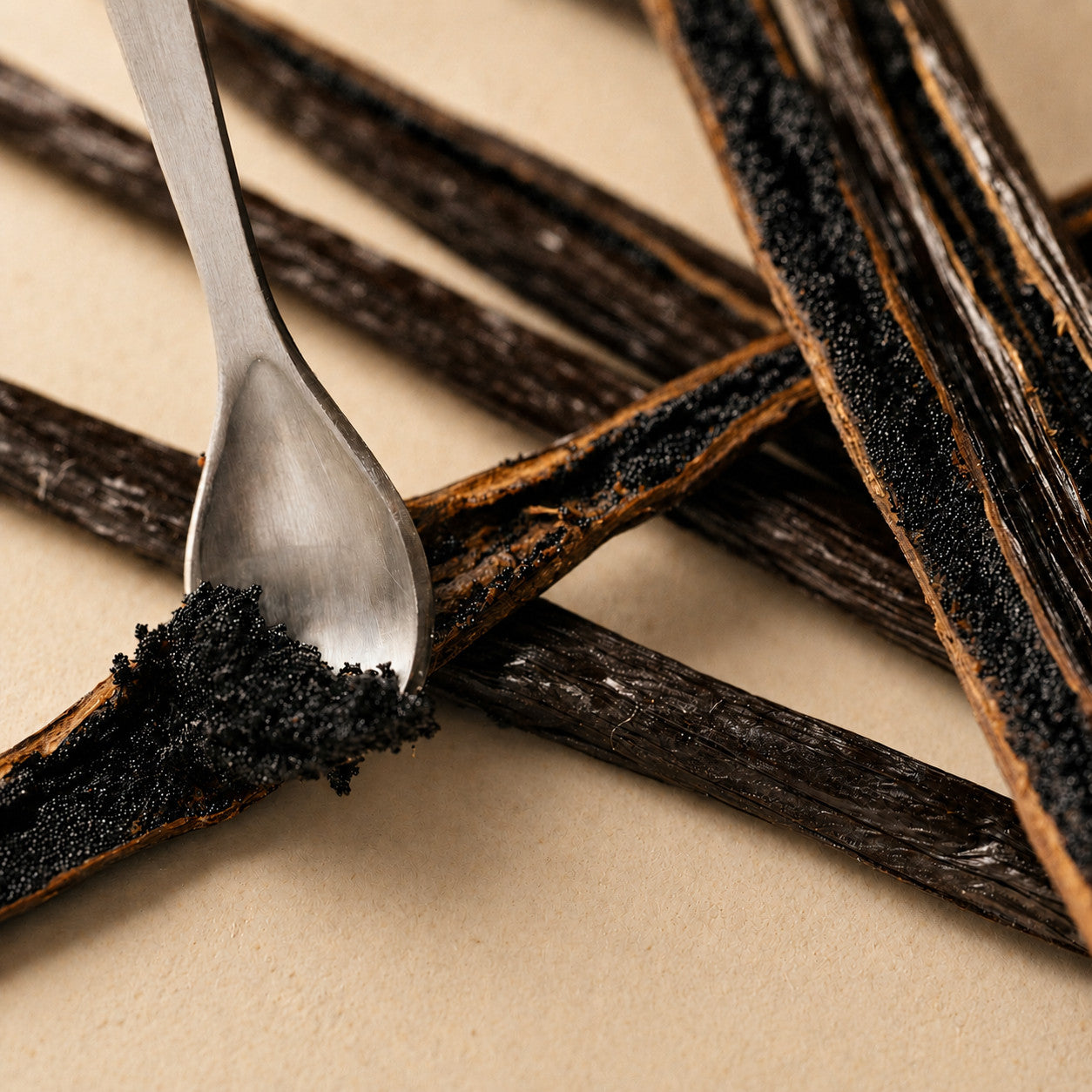 Mexican Vanilla Beans