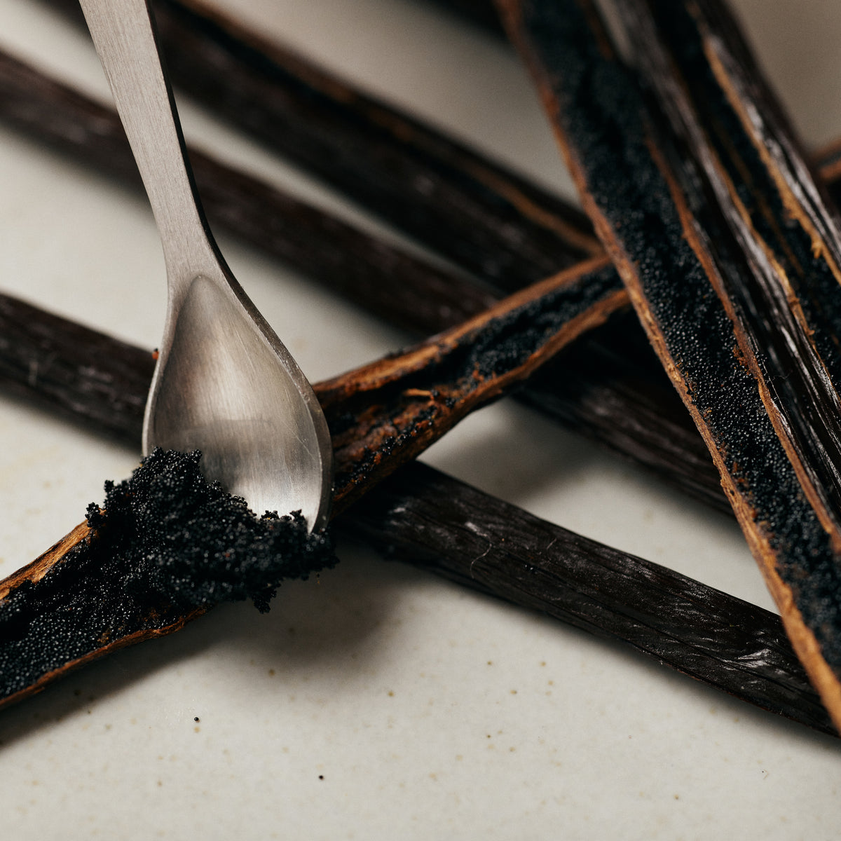 Mexican Vanilla Beans